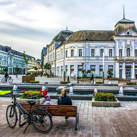 Korona Hotel Mestecǎneşti Exterior foto