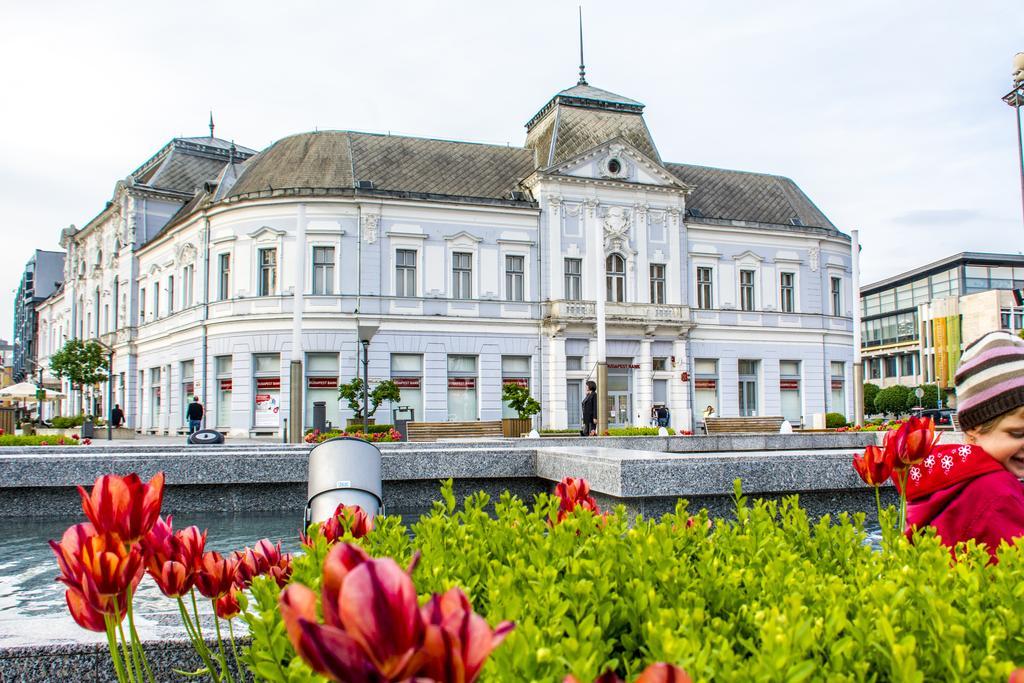 Korona Hotel Mestecǎneşti Exterior foto
