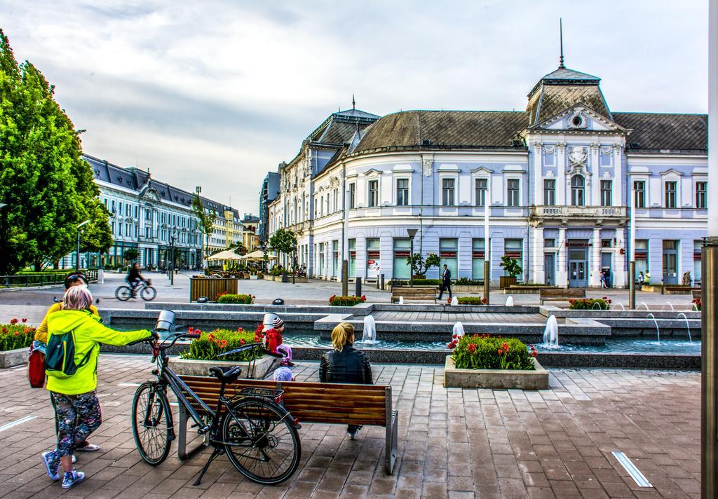 Korona Hotel Mestecǎneşti Exterior foto